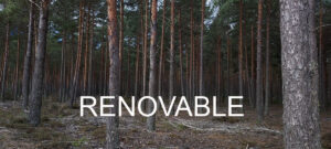 cajas nido recicladas