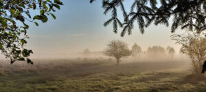 educación ambiental y cajas nido