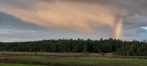 reducir residuos con cajas nido recicladas