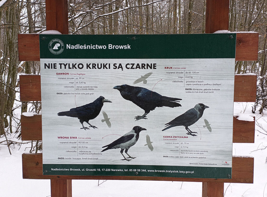 cajas nido en huertos solares
