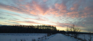 medidas compensatorias y cajas nido