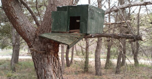 cajas nido para cernícalos