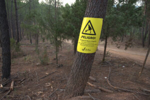 limpiezas de huertos solares